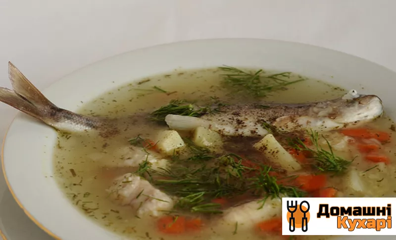 Суп з річкової риби - фото крок 5